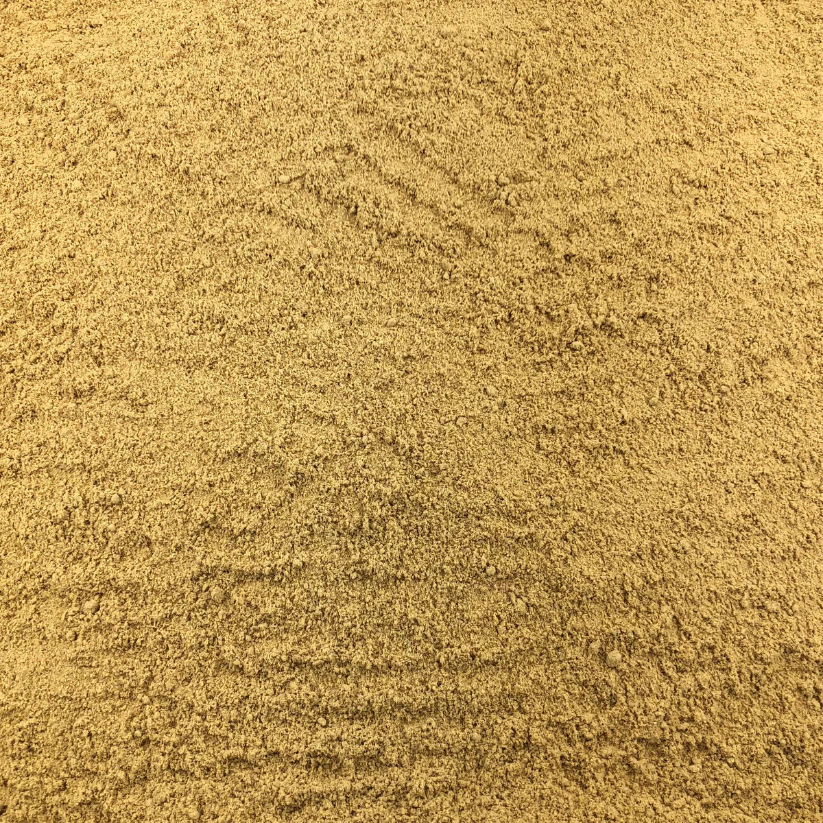 Gingembre moulu Bio en Vrac 500g Vrac Bio