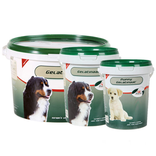 PrimeVal Gelatinaat Hond