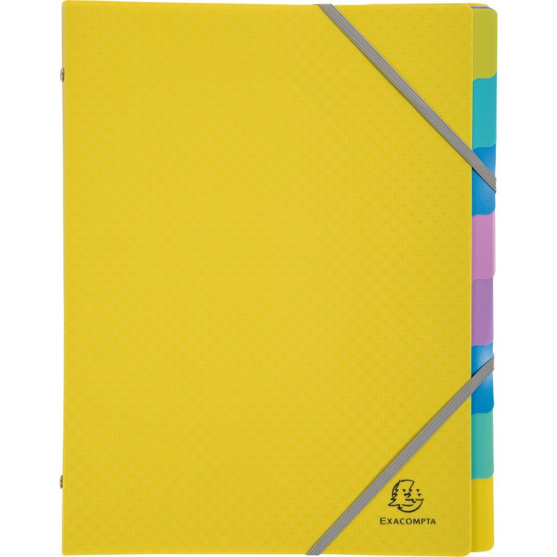 Trieur plastique Forever Young Exacompta 8 divisions couleurs assorties