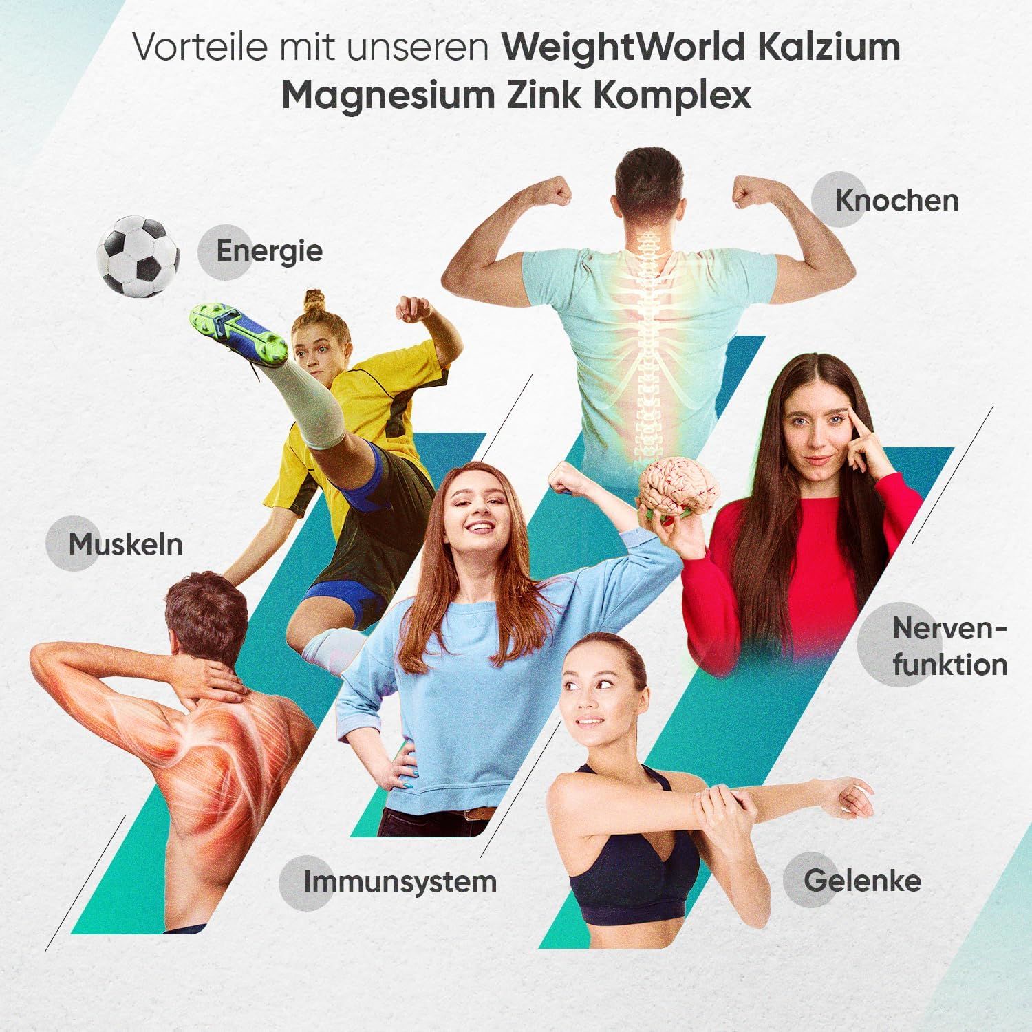 WeightWorld Kalzium Magnesium Zink