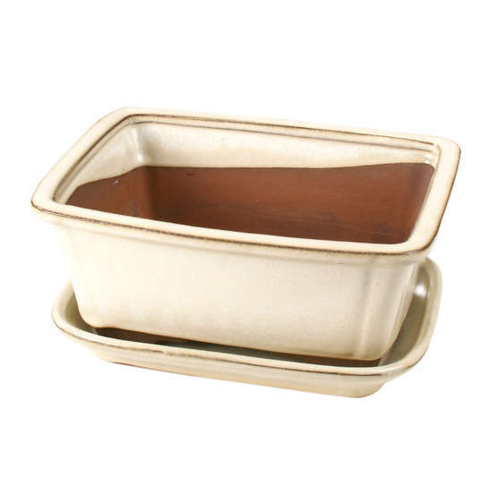 Poterie bonsaï + soucoupe, en terre cuite émaillée L. 21 x l. 16 cm