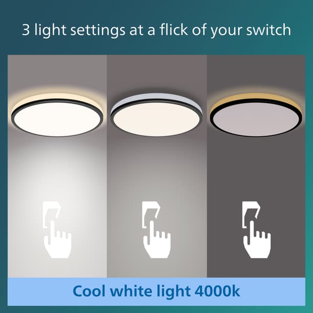Philips Ozziet loftslampe 22W (sort)