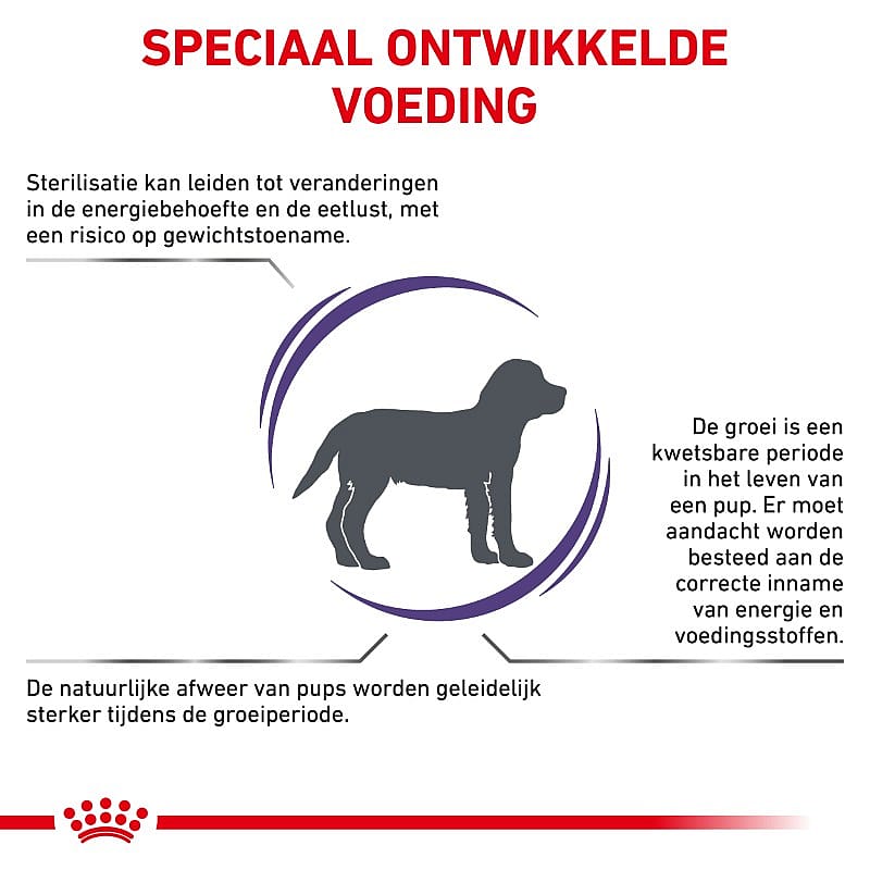 ROYAL CANIN® Medium Dog 10-25Kg Neutered Junior - Hondenvoer voor gecastreerde honden van middelgrote rassen (10 -25 kilo)