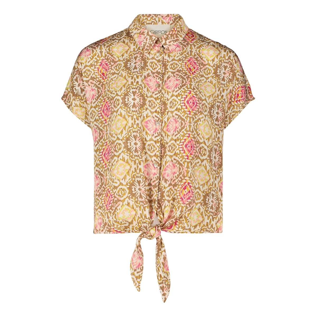 Dames Blouse 12001947