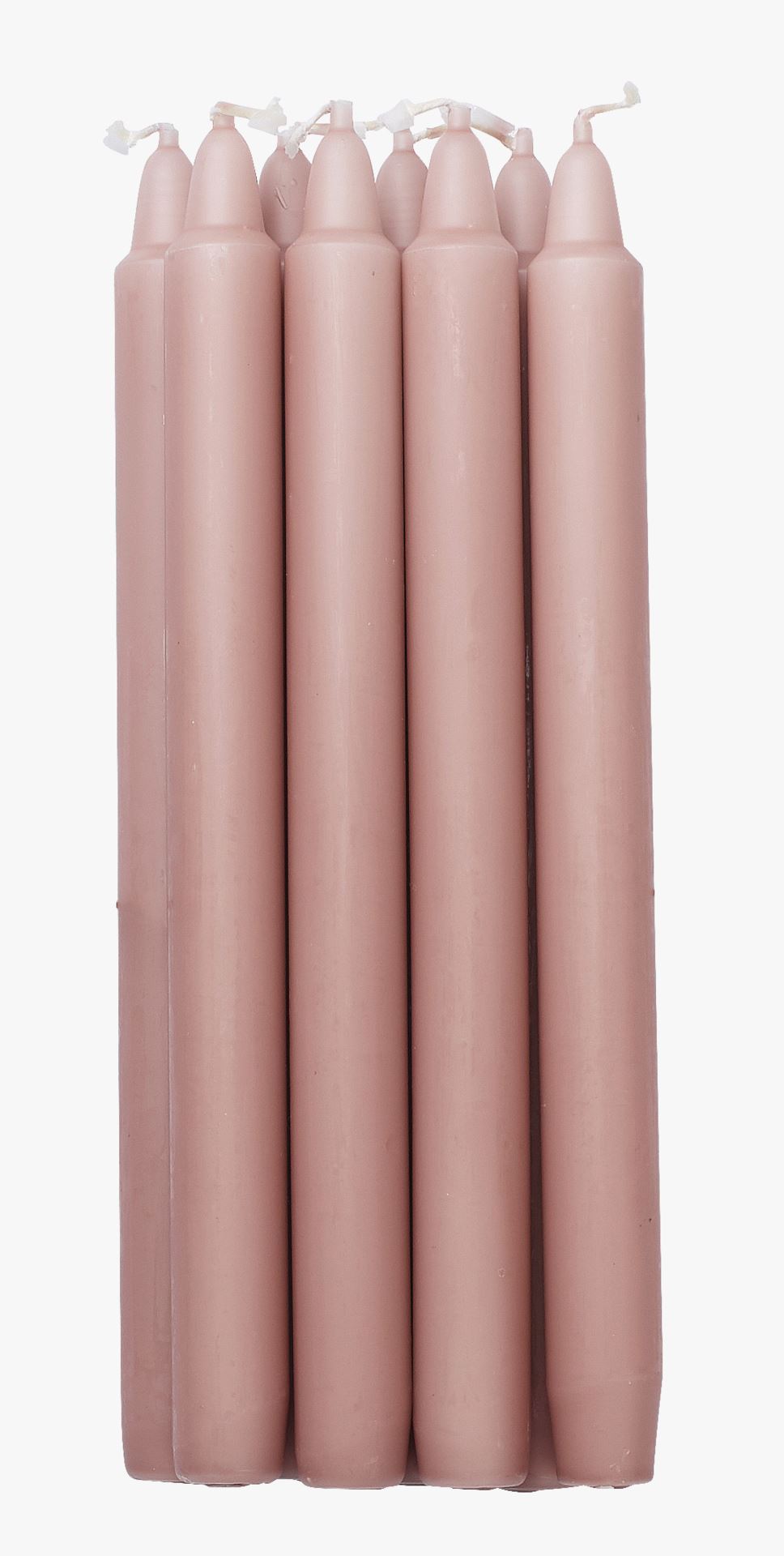 Stakelys pudderrosa - 25 cm