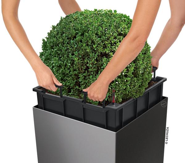 LECHUZA® CUBE, All-in-One Set