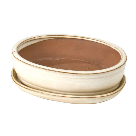 Poterie bonsaï + soucoupe, en terre cuite émaillée L. 21 x l. 16 cm