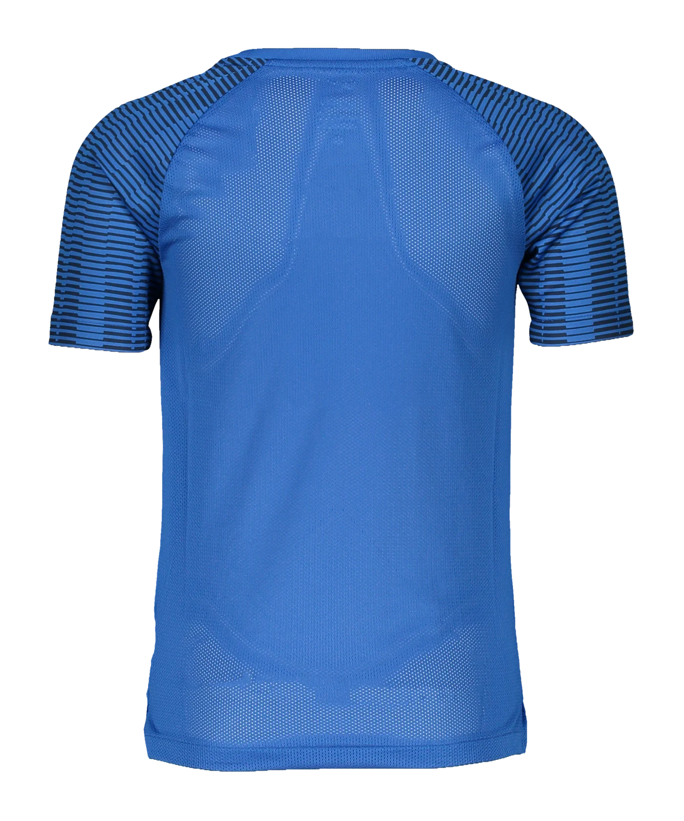 Nike Academy Trikot Kids Blau Weiss F464