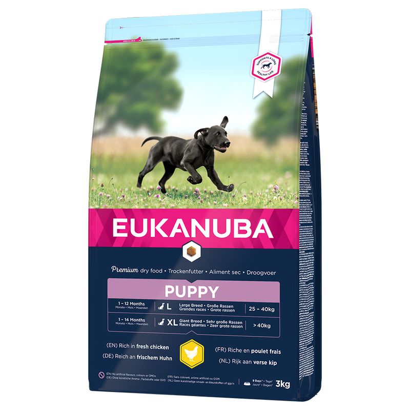 Eukanuba Puppy Large Breed poulet pour chiot
