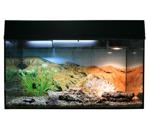 Lucky Reptile Starter Kit Komplettset
