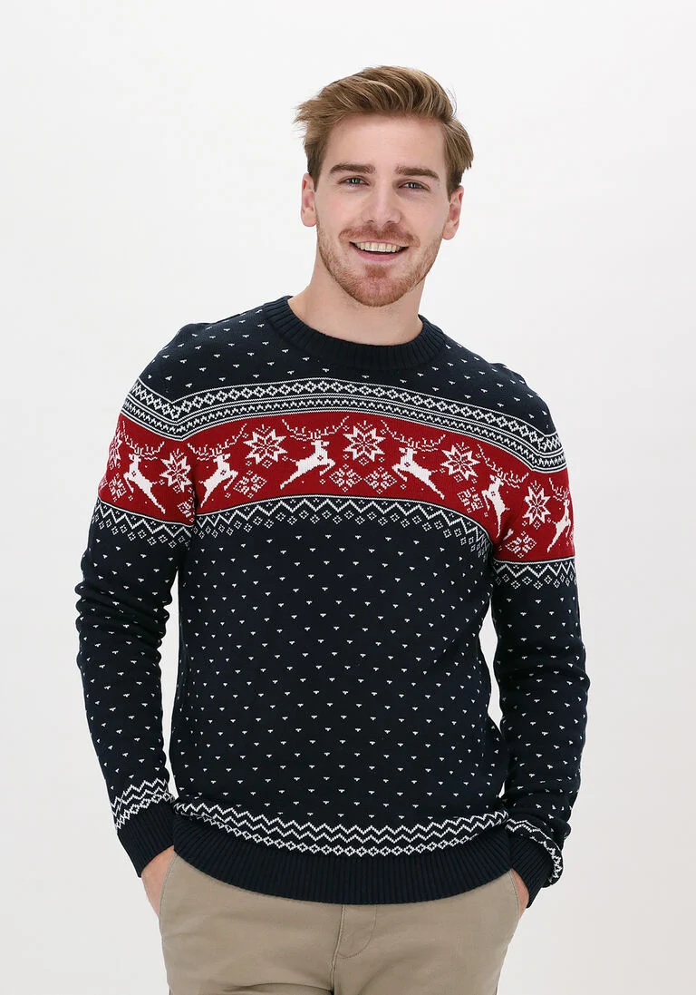 SELECTED HOMME blauwe selected homme trui slhnewdeer ls knit crew neck w