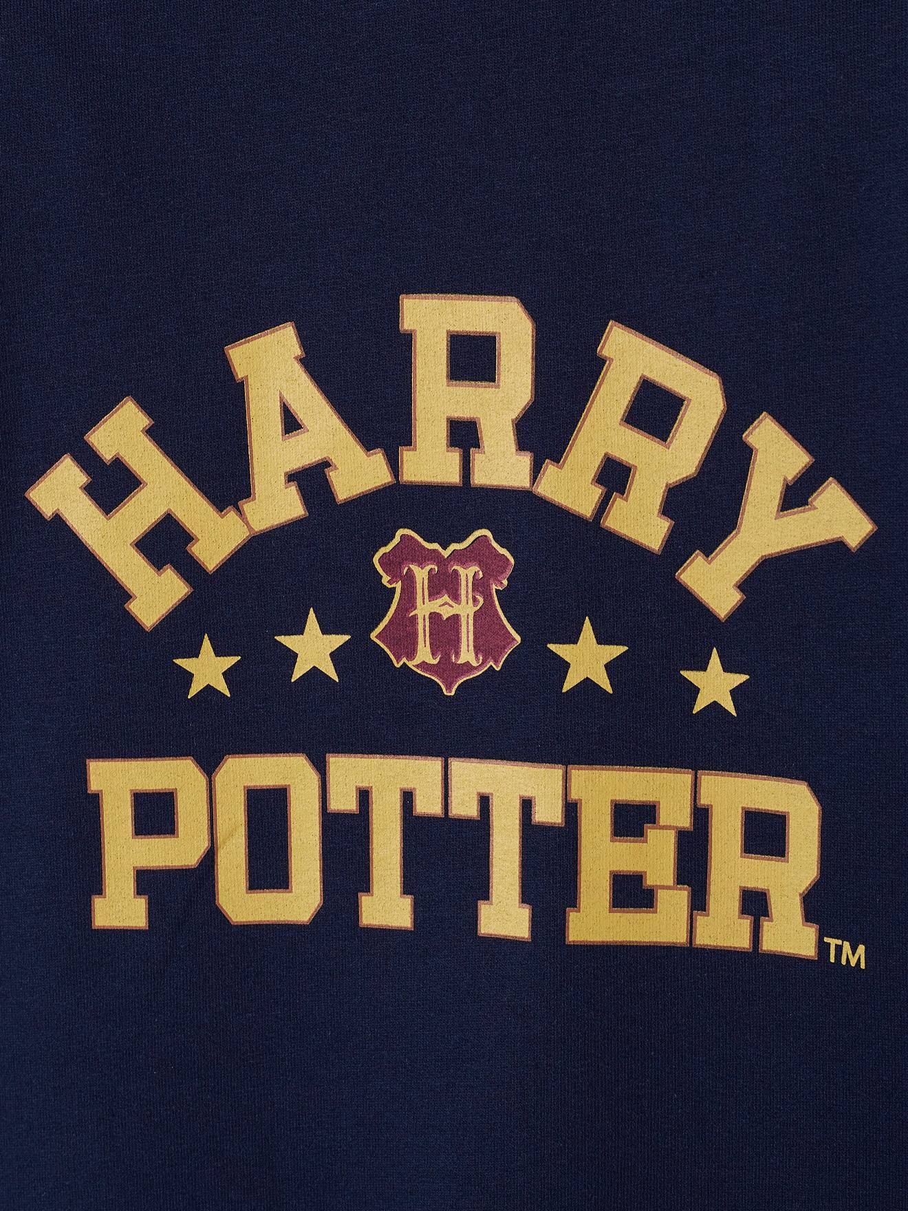 Moletom com capuz Harry Potter®, azul escuro, liso com estampas.