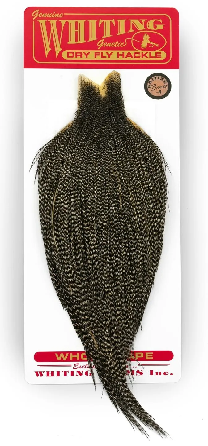 Whiting Bronze Cape
