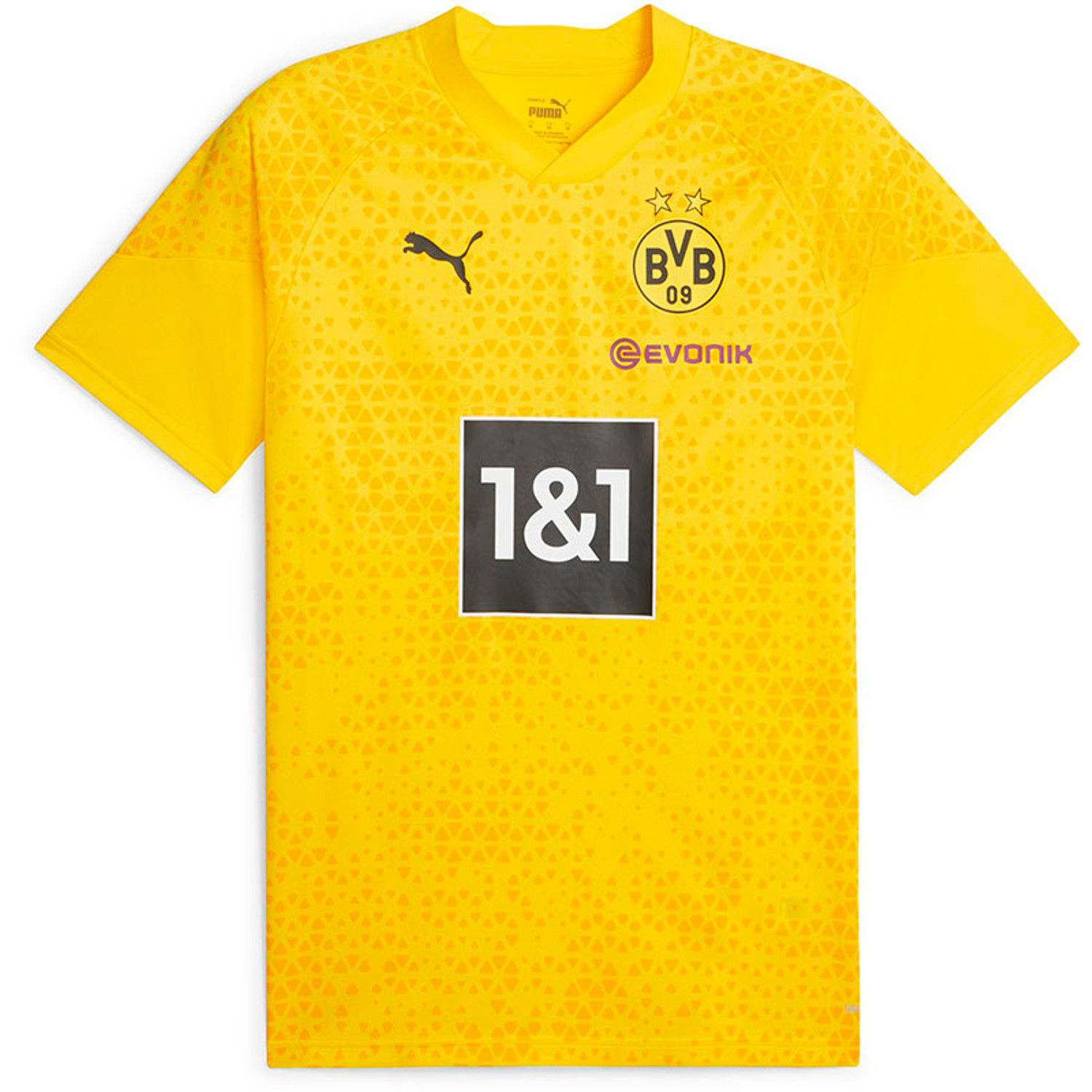 Puma Borussia Dortmund Trainingsset