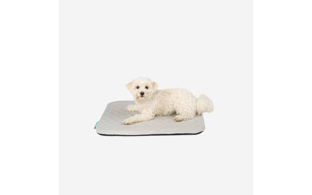 Manuly Hundematte selbstaufblasende Hundedecke