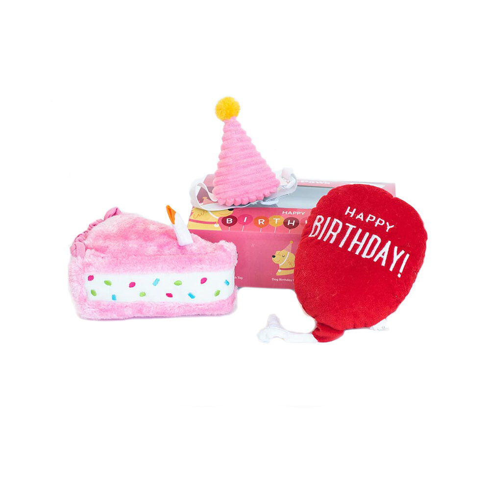 ZippyPaws Pup Birthday Box Pink