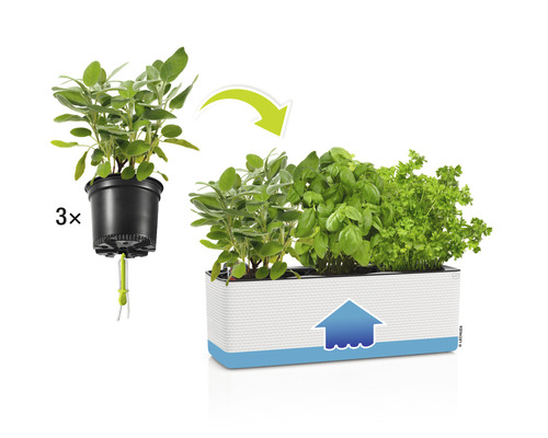 Lechuza Cube Color bloembak 40x14x13,5 cm grijs incl. grondbewateringssysteem