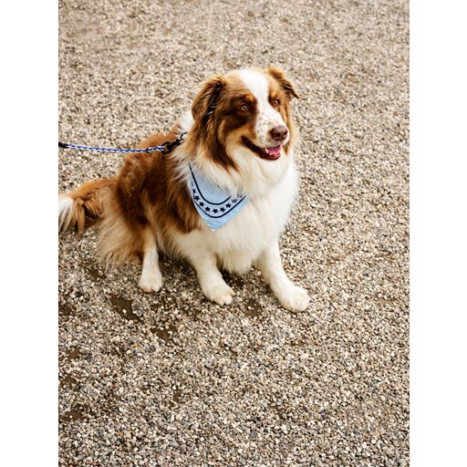 HAY Dog Hundetørklæde, Light Blue
