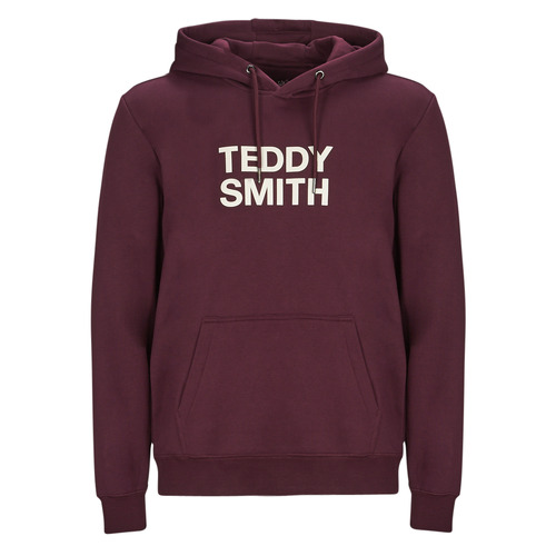 Teddy Smith - SICLASS HOODY - Bordeaux