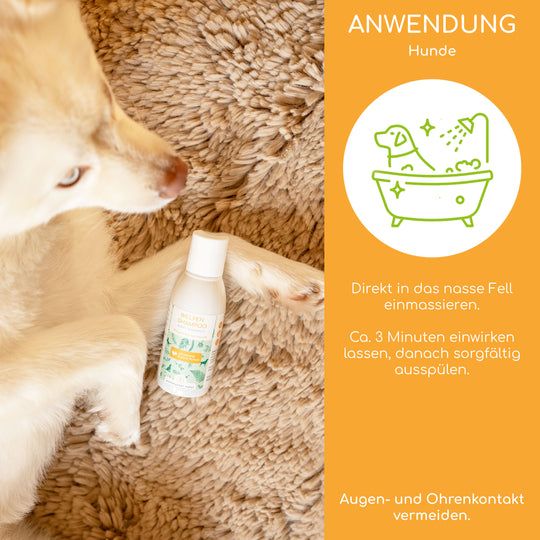Wolfsbacher Natur Welpen Shampoo pH-Neutral