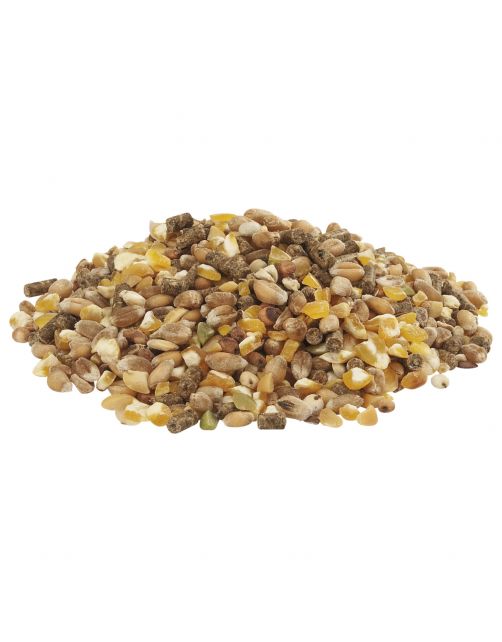 Versele-Laga Country`s Best Gold 4 Mix Kip-Graan Met Legkorrel - Kippenvoer