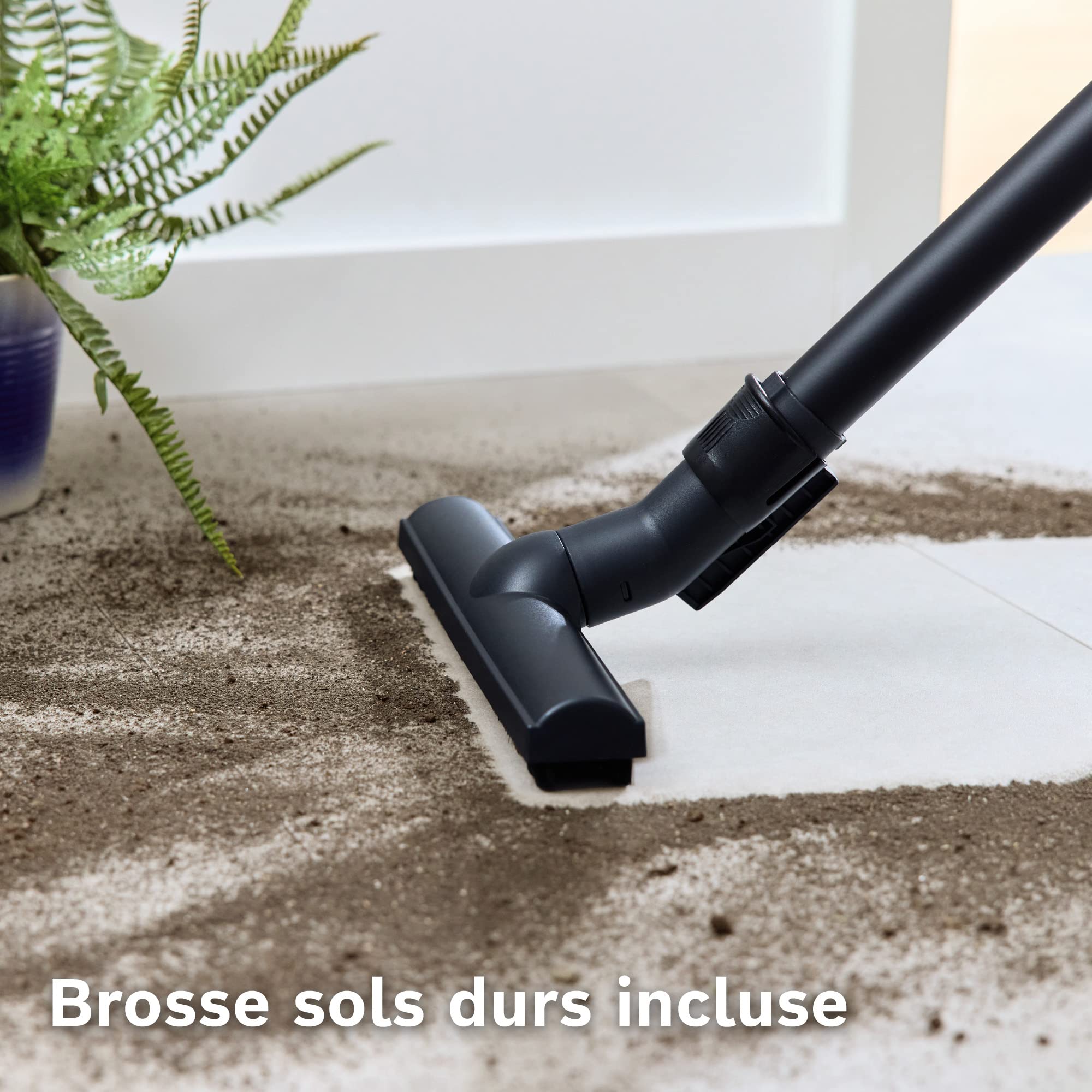 Bosch Electroménager Série 4, BGL38BA2H, aspirateur traîneau avec Sac, Compact et léger, Sac à poussière XL 4L, Filtre hygiénique PureAir Lavable, Ray