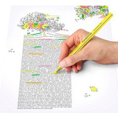 Crayon surligneur à sec textsurfer dry