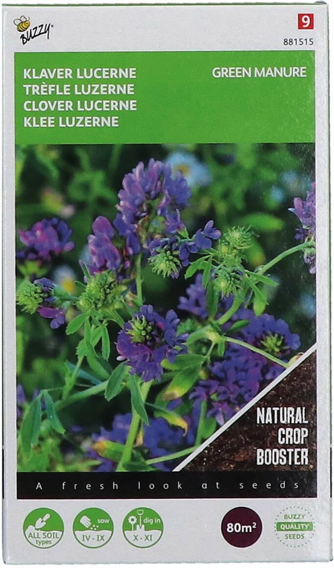 Buzzy seeds groenbemester klaver lucerne (Medicago sativa) 200 gr
