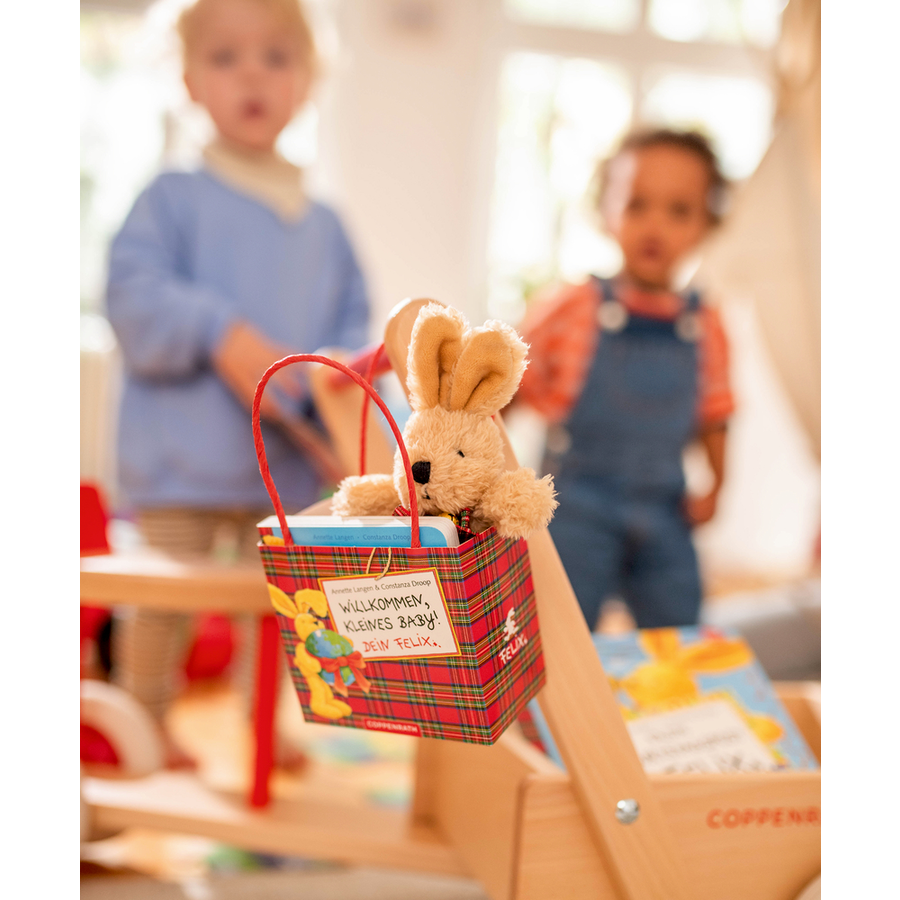Coppenrath Geschenkset: Willkommen, kleines Baby! Dein Felix