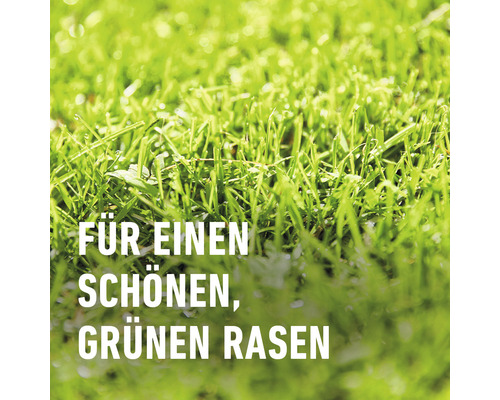 COMPO Turbo gazon doorzaaizaad, 2,6 kg voor 130 m²
