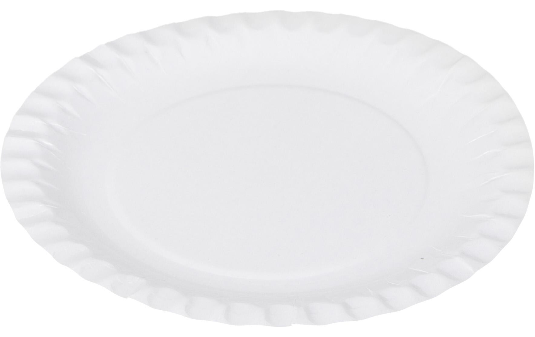 Einwegteller 23 cm, 100 StückPappteller