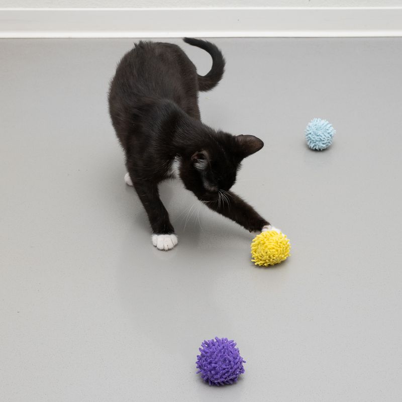 Lot de balles à pompons TIAKI garnies de menthe à chat