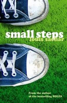 Small Steps (Paperback)