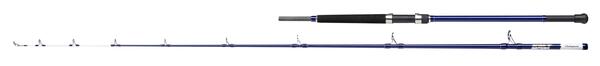 Canne Mer Shakespeare Salt Uptide 2.70m (170-300g)