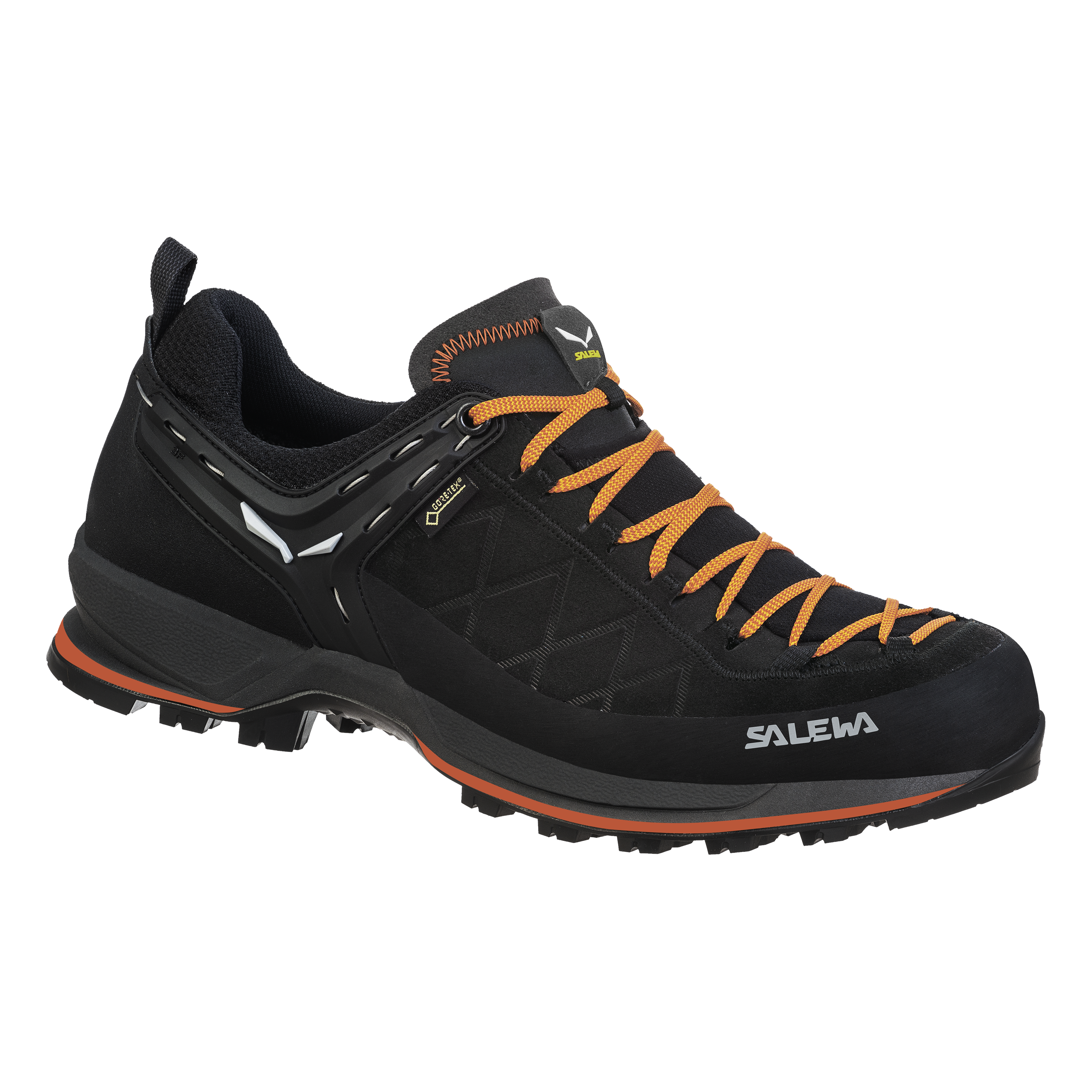 Mountain Trainer 2 GORE-TEX® Herrenschuhe