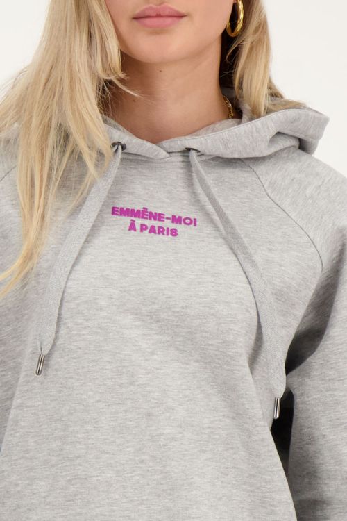 Grijze hoodie emmène-moi à Paris