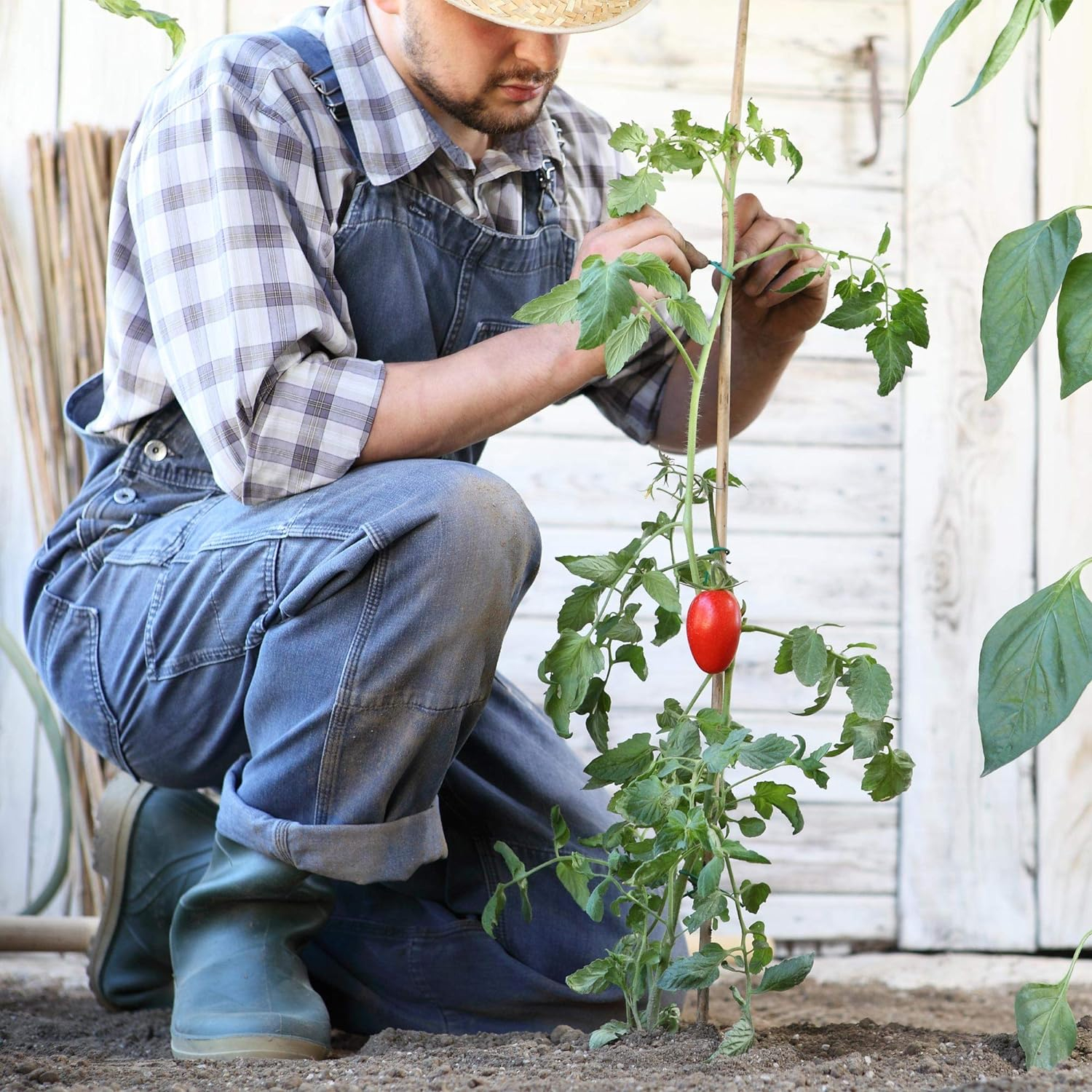 (20er Set) 45cm Bambus Garten Pflanzen Stab Blumen Rankhilfe Tomaten Stütze Staudenhalter inkl. Klettband - Braun