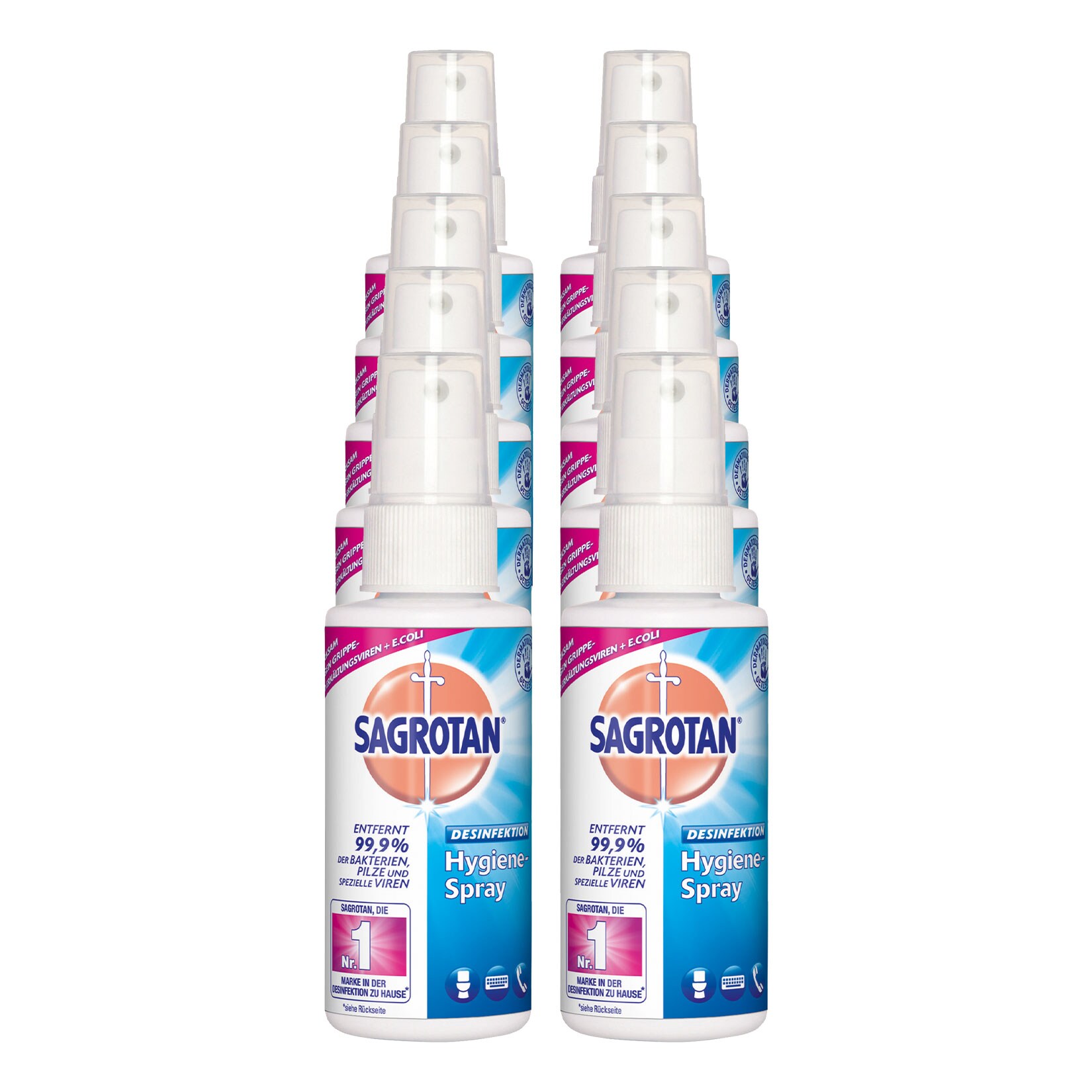 Sagrotan Hygiene Pumpspray 250 ml, 10er Pack