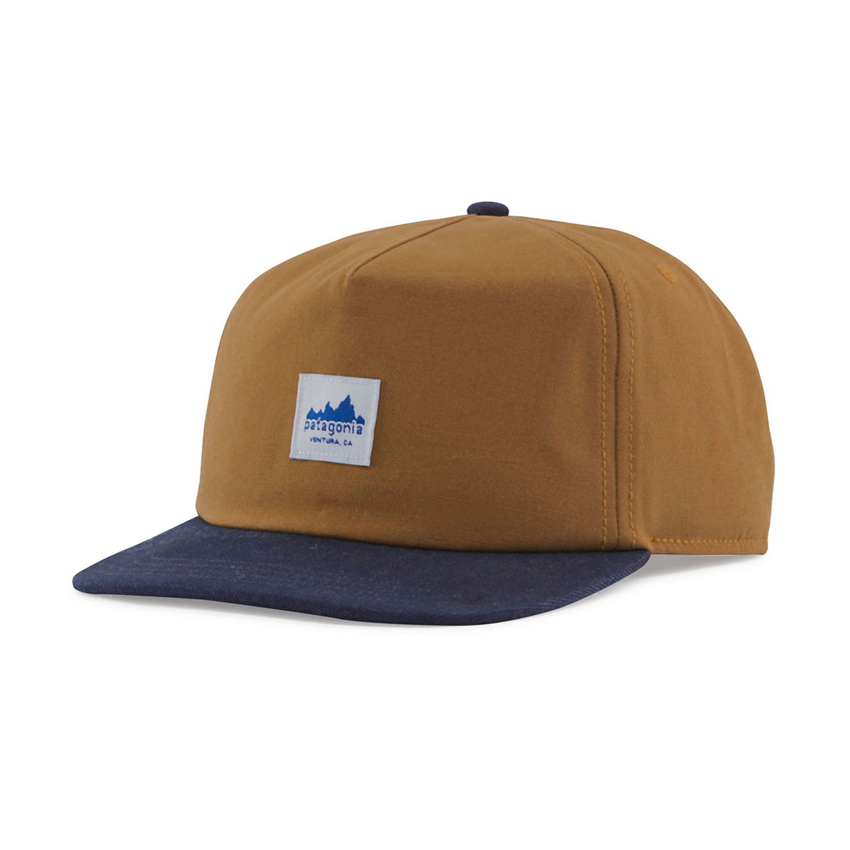 Patagonia Range Cap