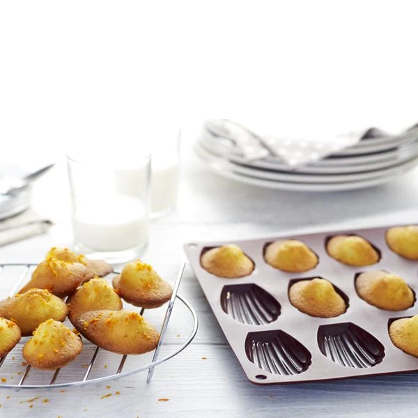 Lot de 2 Flexi'plaques en silicone 18 madeleines et 24 mini-madeleines