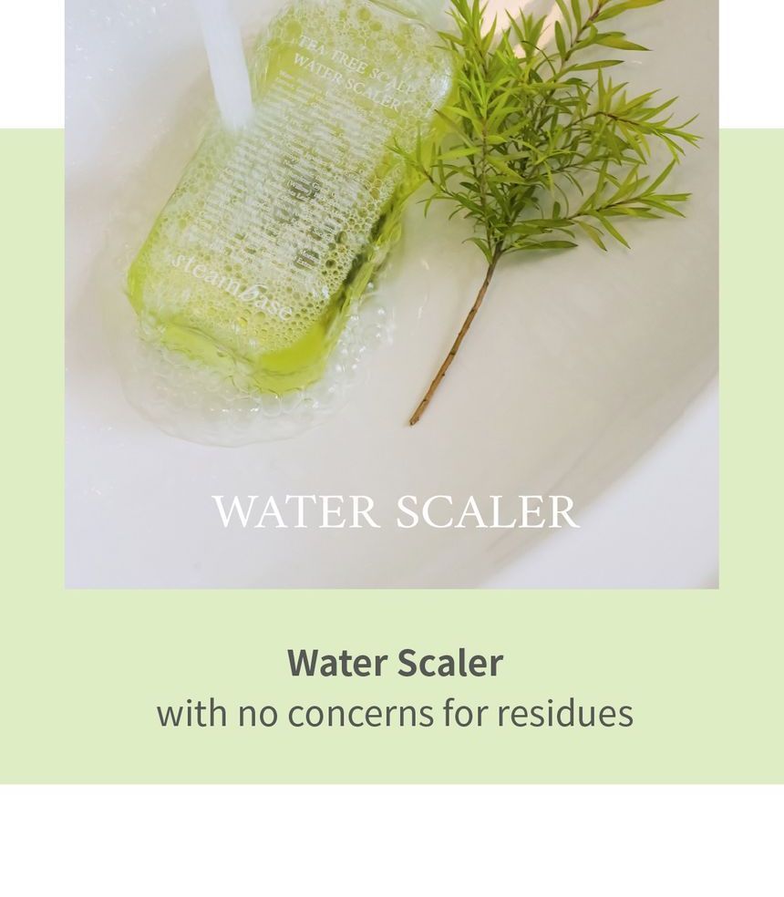 STEAMBASE - Tea Tree Scalp Water Scaler Mini