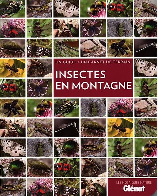 GLENAT - INSECTES EN MONTAGNE