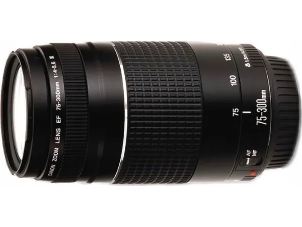 Canon EF - Telefoto zoom objektiv - 75 mm - 300 mm - f/4.0-5.6 III - Canon EF - for EOS 1000, 1D, 50, 500, 5D, 7D, Kiss F, Kiss X2, Kiss X3, Rebel T1i, Rebel XS, Rebel XSi