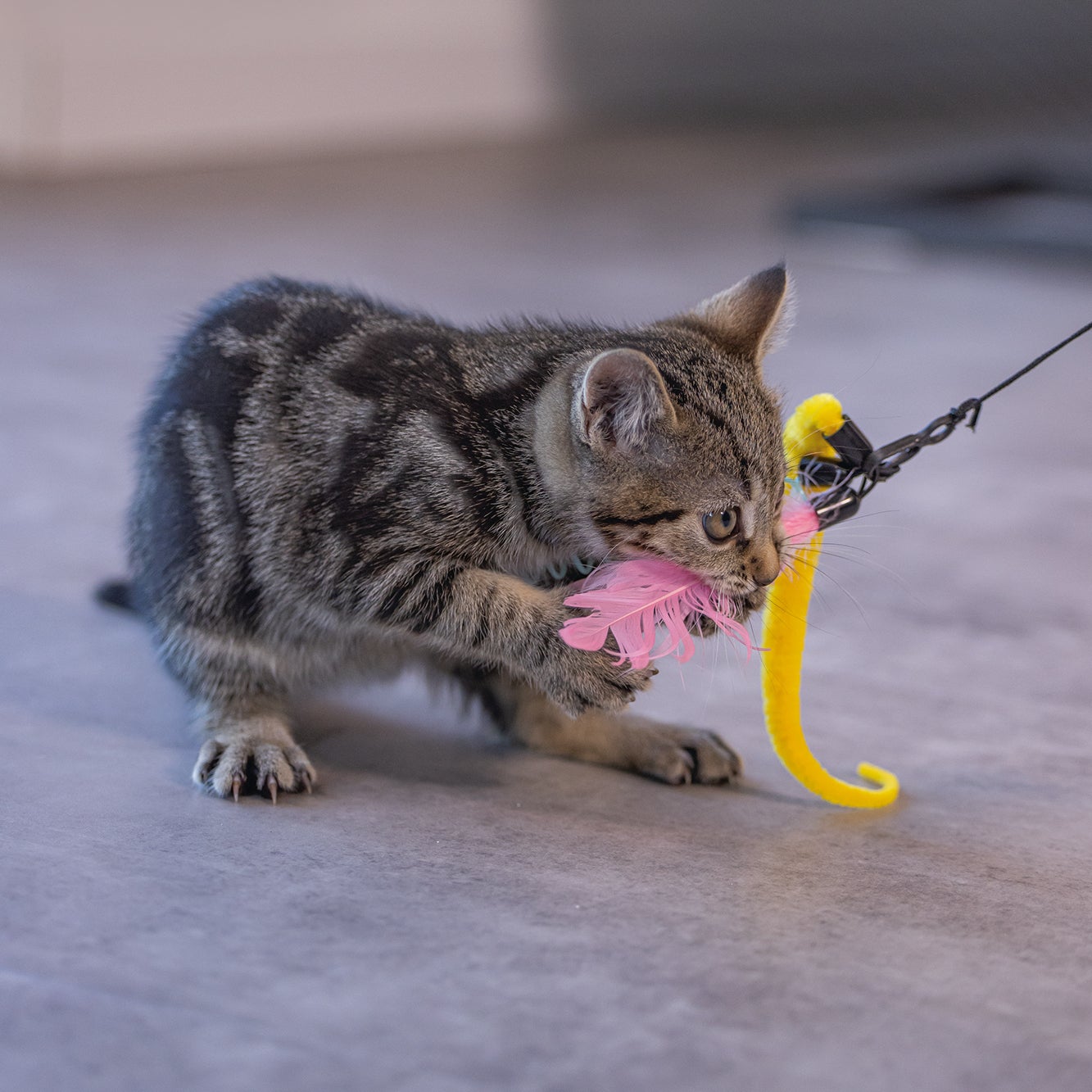 Beeztees kattenspeelgoed hengel Kocka 75 cm