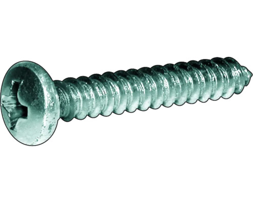 Plaatschroef, bolkop met kruiskop, DIN 7981, 2,9 x 9,5 mm, verzinkt, 100 stuks