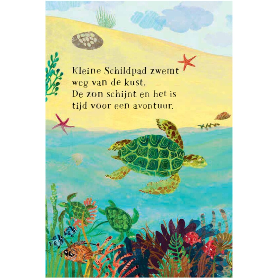 Uitgeverij lemniscaat het zeeboek van kleine schildpad