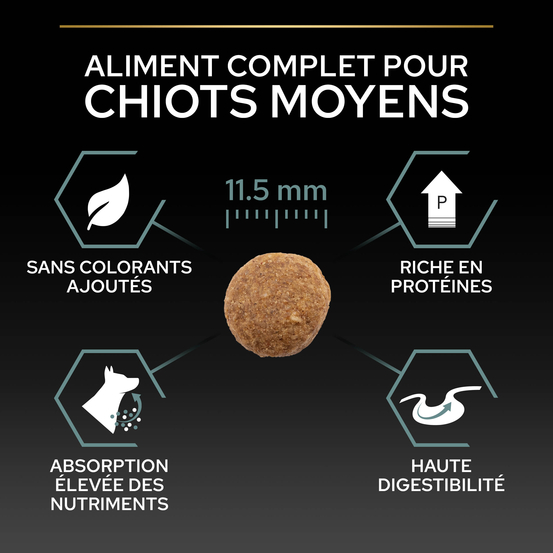Croquettes chien junior digestion difficile à l'agneau - 12 kg