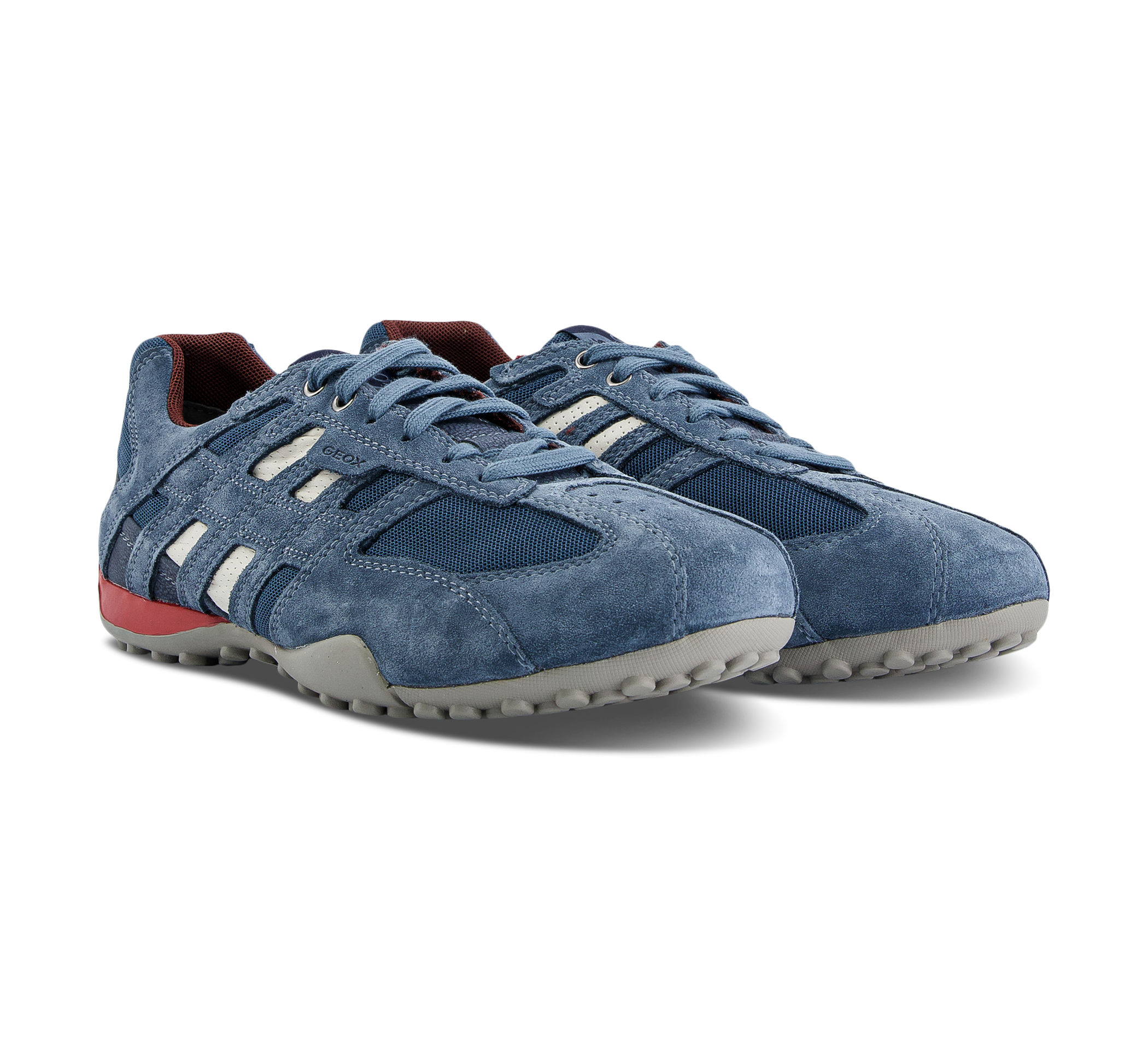 Geox Snake - Sneaker low blau