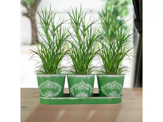 3 Cubos en métal et plateau verts