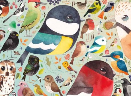 Matt Sewell's Our British Birds 500 Piece Jigsaw Puzzle (Jigsaw)